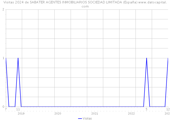 Visitas 2024 de SABATER AGENTES INMOBILIARIOS SOCIEDAD LIMITADA (España) 