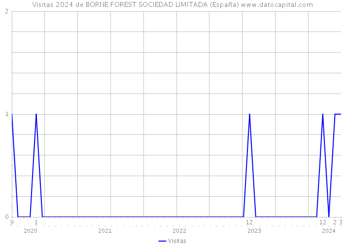 Visitas 2024 de BORNE FOREST SOCIEDAD LIMITADA (España) 
