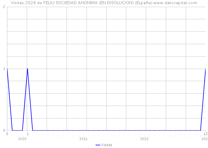 Visitas 2024 de FELIU SOCIEDAD ANONIMA (EN DISOLUCION) (España) 