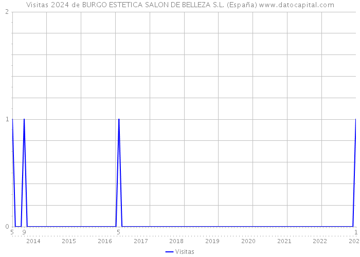 Visitas 2024 de BURGO ESTETICA SALON DE BELLEZA S.L. (España) 