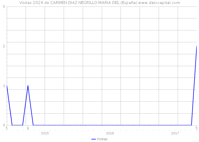 Visitas 2024 de CARMEN DIAZ NEGRILLO MARIA DEL (España) 