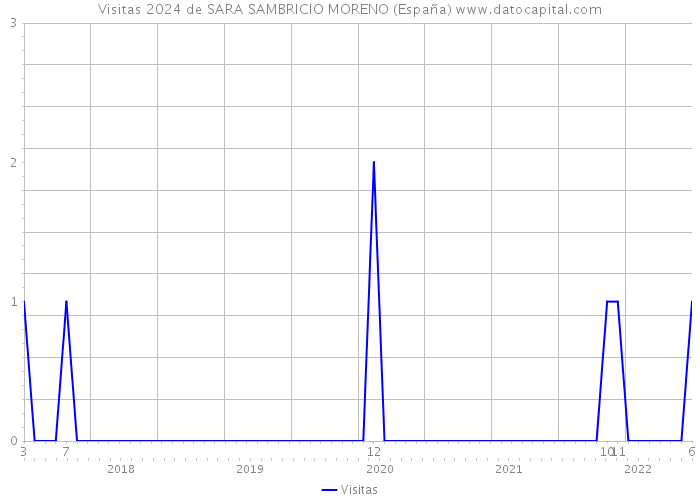 Visitas 2024 de SARA SAMBRICIO MORENO (España) 