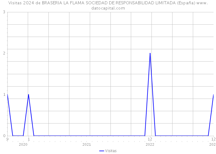 Visitas 2024 de BRASERIA LA FLAMA SOCIEDAD DE RESPONSABILIDAD LIMITADA (España) 