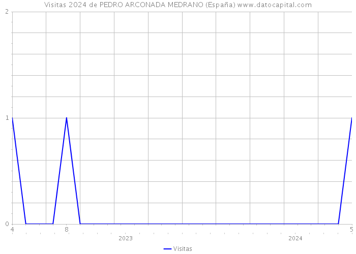 Visitas 2024 de PEDRO ARCONADA MEDRANO (España) 