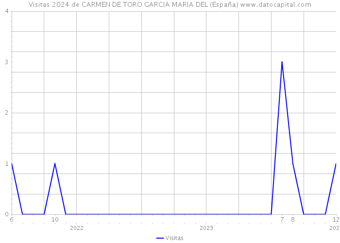 Visitas 2024 de CARMEN DE TORO GARCIA MARIA DEL (España) 