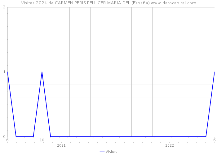 Visitas 2024 de CARMEN PERIS PELLICER MARIA DEL (España) 