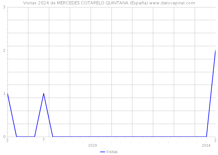 Visitas 2024 de MERCEDES COTARELO QUINTANA (España) 