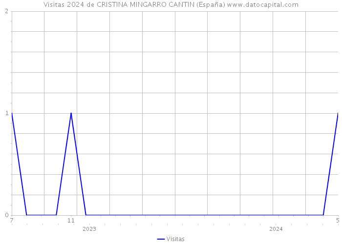 Visitas 2024 de CRISTINA MINGARRO CANTIN (España) 