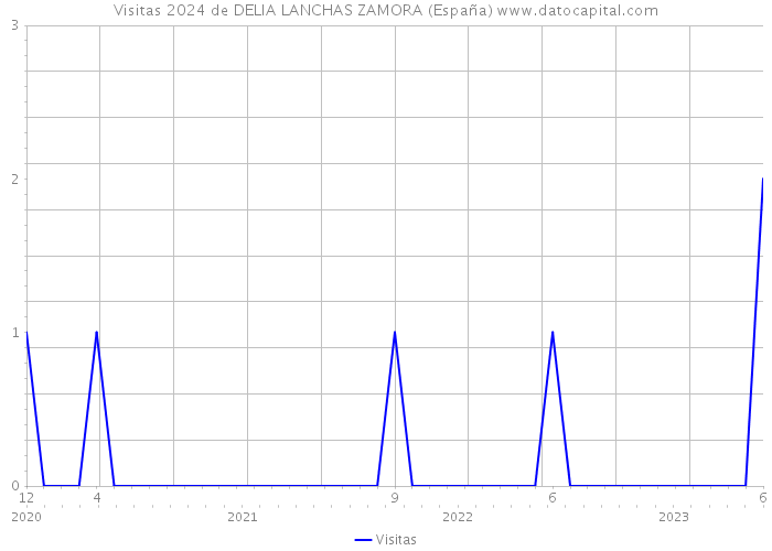 Visitas 2024 de DELIA LANCHAS ZAMORA (España) 
