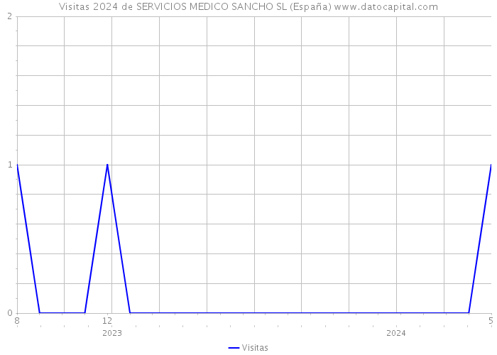 Visitas 2024 de SERVICIOS MEDICO SANCHO SL (España) 