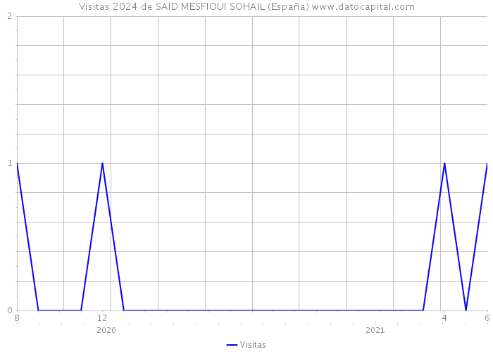 Visitas 2024 de SAID MESFIOUI SOHAIL (España) 