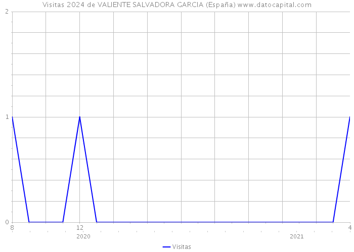 Visitas 2024 de VALIENTE SALVADORA GARCIA (España) 