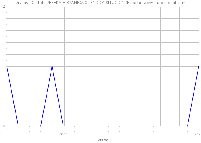 Visitas 2024 de PEBEKA HISPANICA SL EN CONSITUCION (España) 