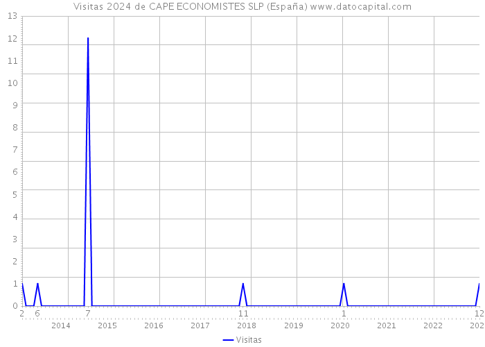 Visitas 2024 de CAPE ECONOMISTES SLP (España) 