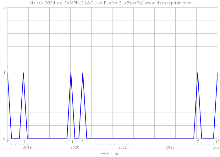 Visitas 2024 de CAMPING LAGUNA PLAYA SL (España) 