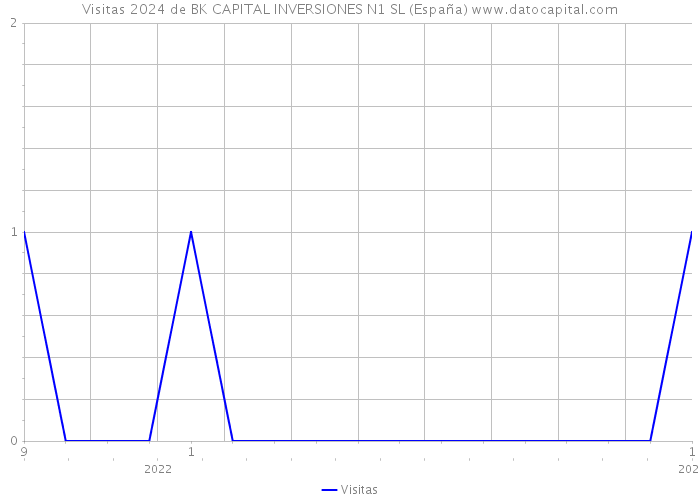 Visitas 2024 de BK CAPITAL INVERSIONES N1 SL (España) 