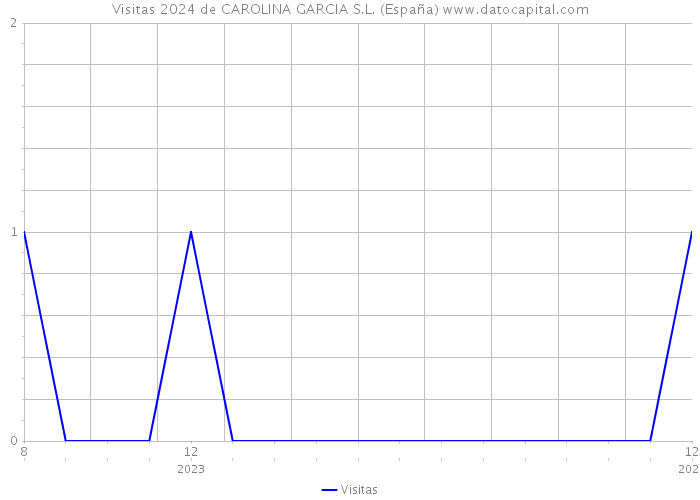 Visitas 2024 de CAROLINA GARCIA S.L. (España) 