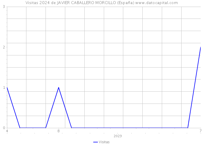 Visitas 2024 de JAVIER CABALLERO MORCILLO (España) 
