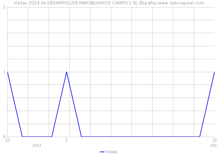 Visitas 2024 de DESARROLLOS INMOBILIARIOS CAMPO 2 SL (España) 