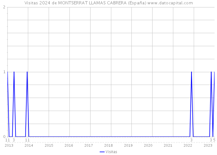 Visitas 2024 de MONTSERRAT LLAMAS CABRERA (España) 