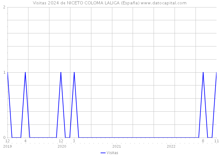 Visitas 2024 de NICETO COLOMA LALIGA (España) 