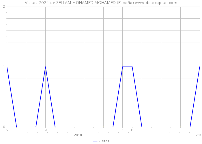 Visitas 2024 de SELLAM MOHAMED MOHAMED (España) 