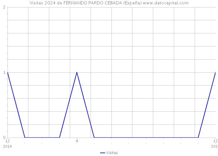 Visitas 2024 de FERNANDO PARDO CEBADA (España) 