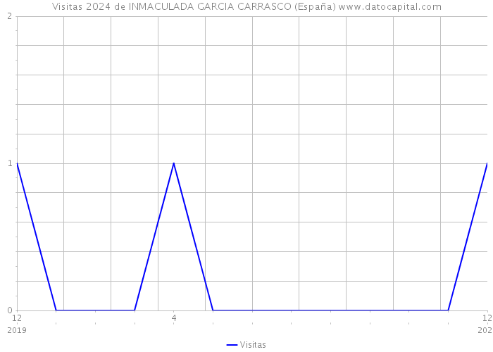 Visitas 2024 de INMACULADA GARCIA CARRASCO (España) 