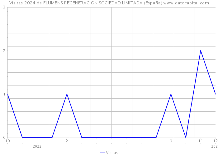 Visitas 2024 de FLUMENS REGENERACION SOCIEDAD LIMITADA (España) 