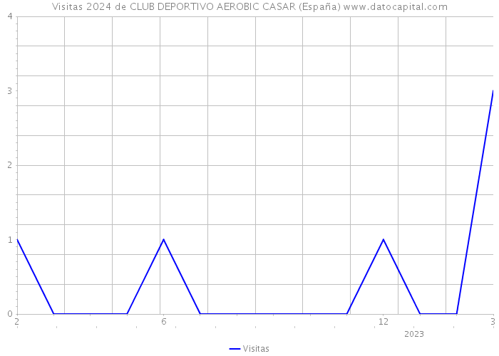 Visitas 2024 de CLUB DEPORTIVO AEROBIC CASAR (España) 