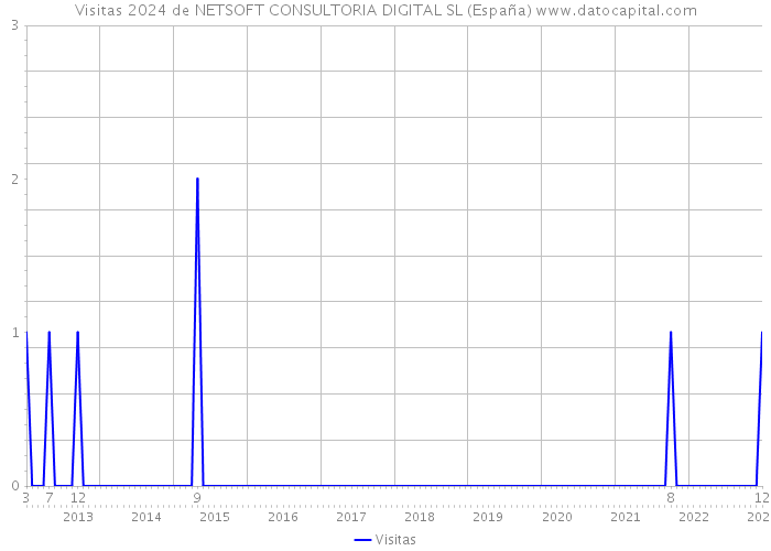 Visitas 2024 de NETSOFT CONSULTORIA DIGITAL SL (España) 