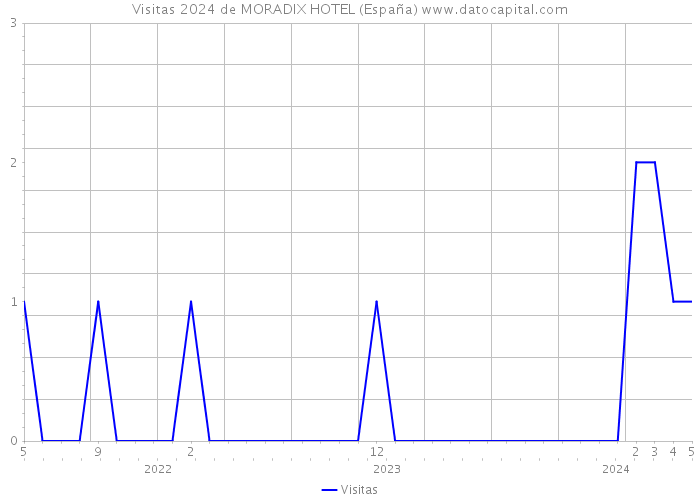 Visitas 2024 de MORADIX HOTEL (España) 