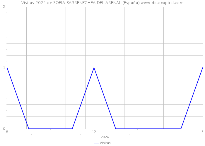 Visitas 2024 de SOFIA BARRENECHEA DEL ARENAL (España) 