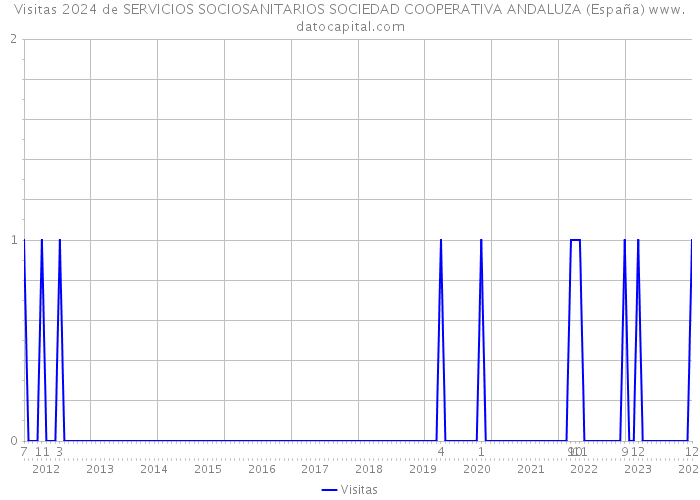 Visitas 2024 de SERVICIOS SOCIOSANITARIOS SOCIEDAD COOPERATIVA ANDALUZA (España) 