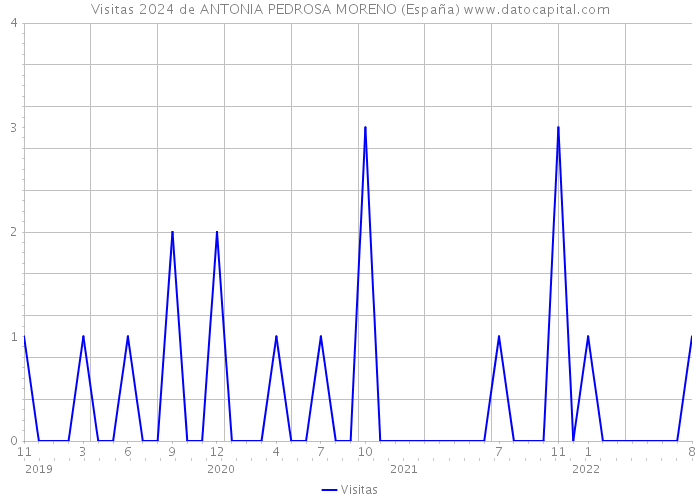 Visitas 2024 de ANTONIA PEDROSA MORENO (España) 