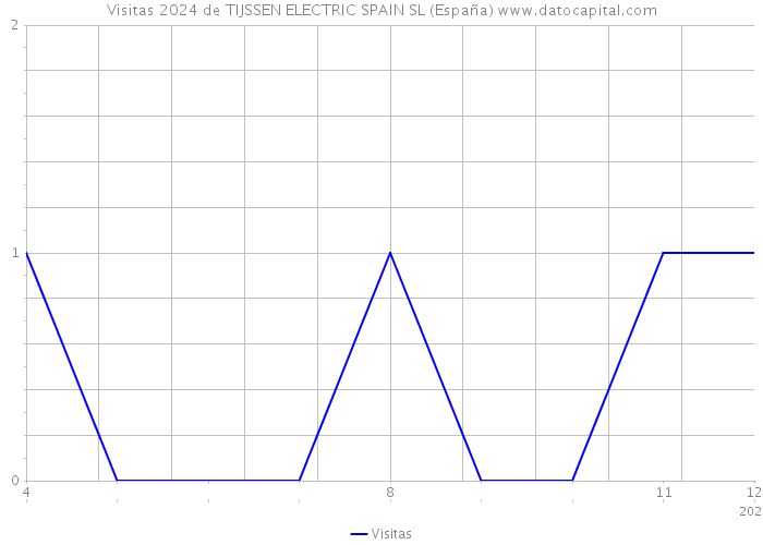 Visitas 2024 de TIJSSEN ELECTRIC SPAIN SL (España) 