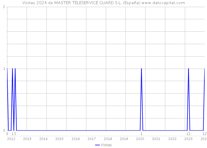 Visitas 2024 de MASTER TELESERVICE GUARD S.L. (España) 