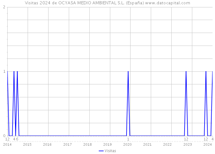 Visitas 2024 de OCYASA MEDIO AMBIENTAL S.L. (España) 