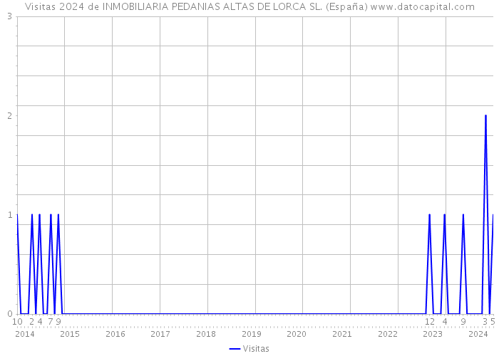 Visitas 2024 de INMOBILIARIA PEDANIAS ALTAS DE LORCA SL. (España) 