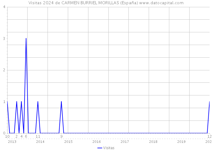 Visitas 2024 de CARMEN BURRIEL MORILLAS (España) 