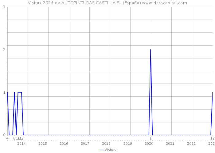 Visitas 2024 de AUTOPINTURAS CASTILLA SL (España) 