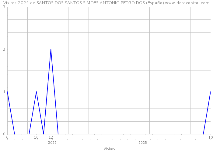 Visitas 2024 de SANTOS DOS SANTOS SIMOES ANTONIO PEDRO DOS (España) 