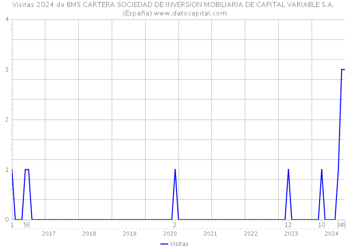 Visitas 2024 de BMS CARTERA SOCIEDAD DE INVERSION MOBILIARIA DE CAPITAL VARIABLE S.A. (España) 