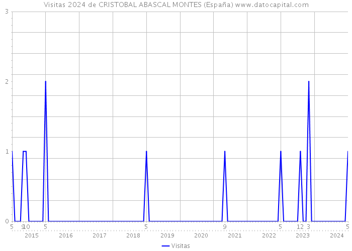 Visitas 2024 de CRISTOBAL ABASCAL MONTES (España) 