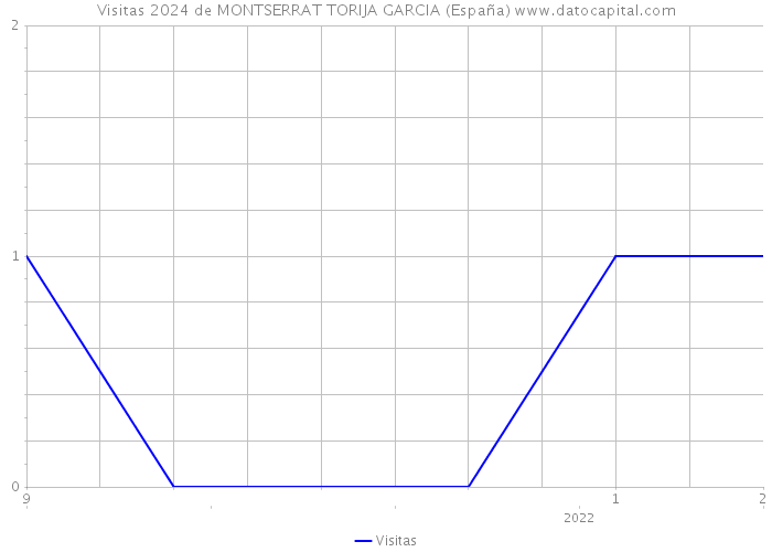 Visitas 2024 de MONTSERRAT TORIJA GARCIA (España) 