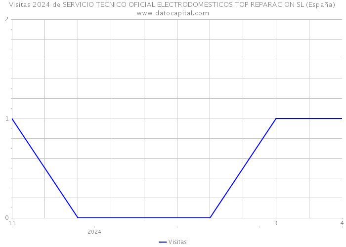 Visitas 2024 de SERVICIO TECNICO OFICIAL ELECTRODOMESTICOS TOP REPARACION SL (España) 