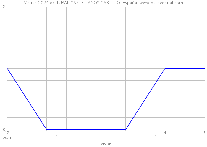 Visitas 2024 de TUBAL CASTELLANOS CASTILLO (España) 