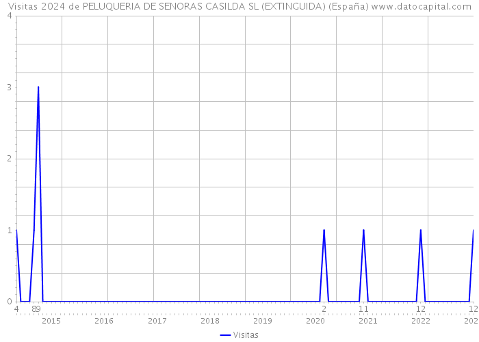 Visitas 2024 de PELUQUERIA DE SENORAS CASILDA SL (EXTINGUIDA) (España) 