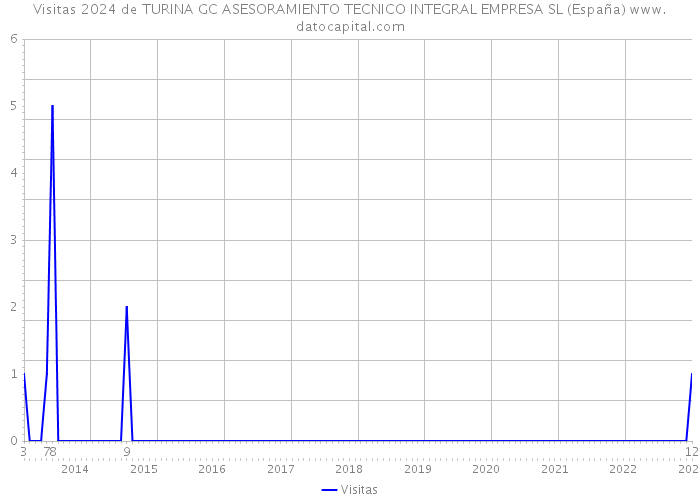 Visitas 2024 de TURINA GC ASESORAMIENTO TECNICO INTEGRAL EMPRESA SL (España) 