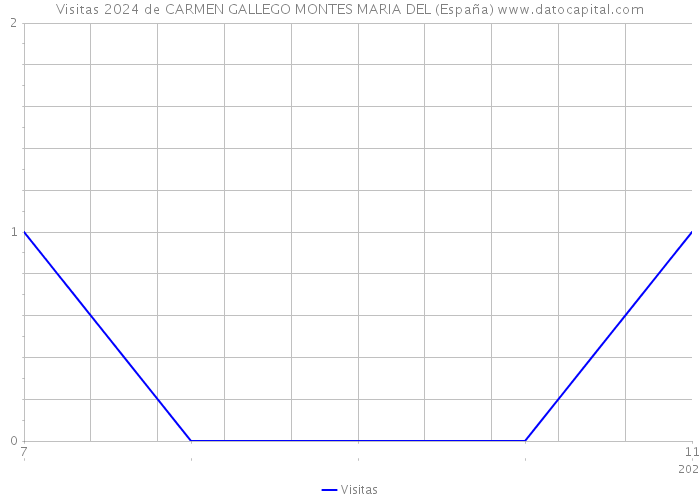Visitas 2024 de CARMEN GALLEGO MONTES MARIA DEL (España) 
